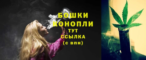 мяу мяу мука Абаза